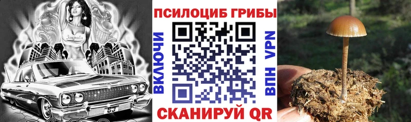 Псилоцибиновые грибы ЛСД Тюкалинск
